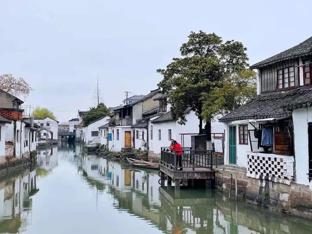 “花少5”靠野生状态出圈?节目组的玩法